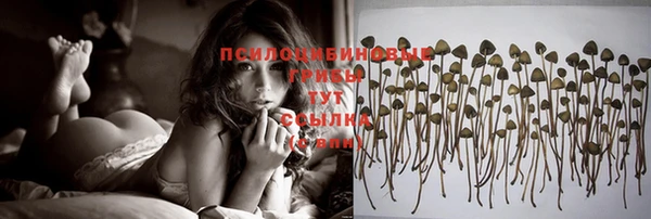 каннабис Няндома